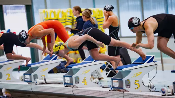 Helena Pinto Coelho Lopes