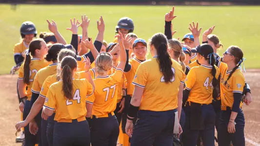 Softball Team Huddle