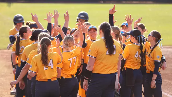 Softball Team Huddle