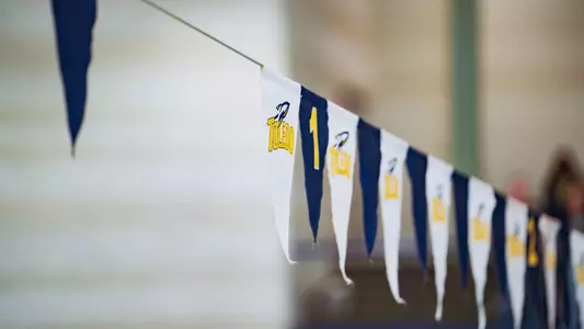 Swim Flags