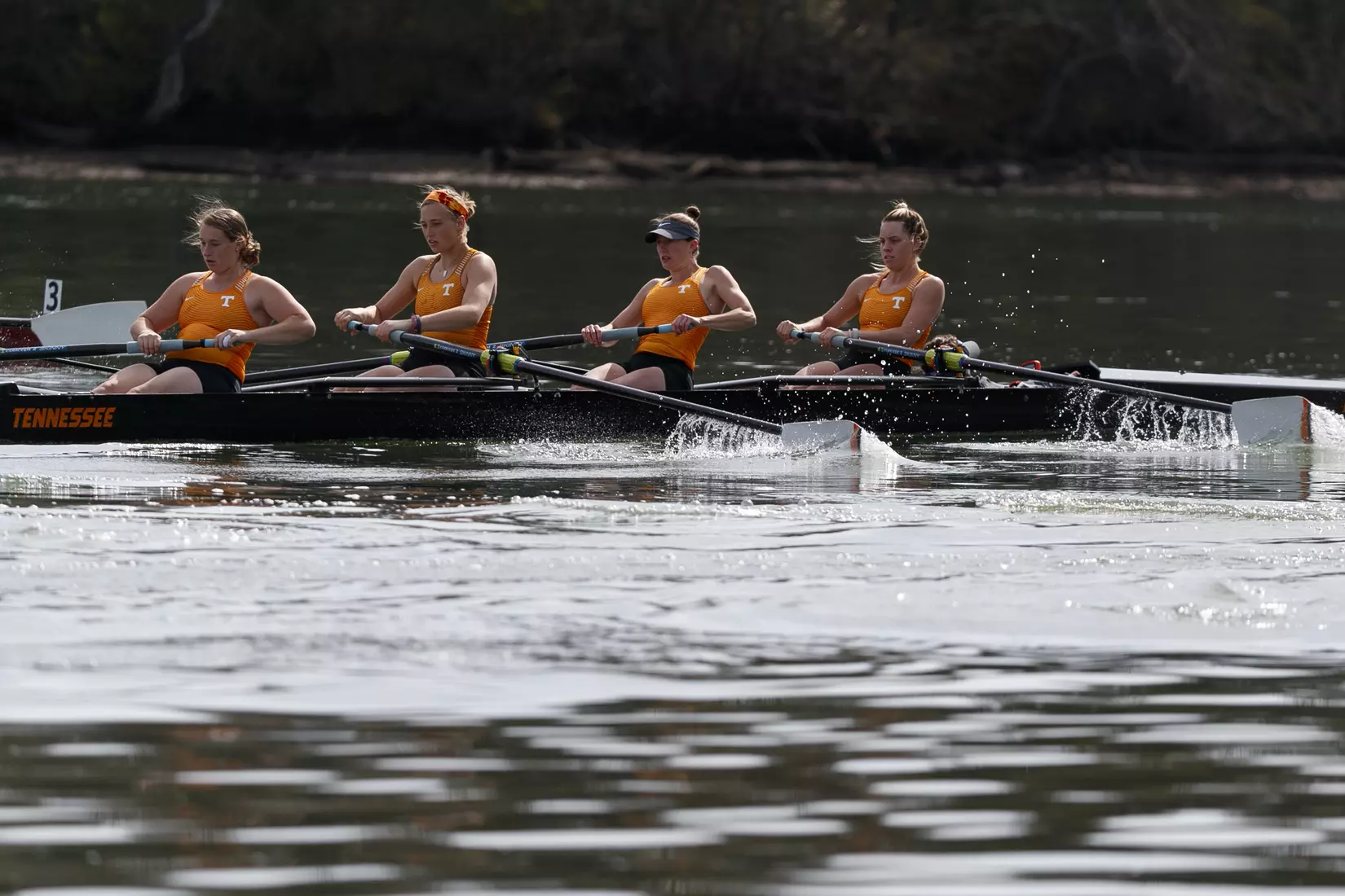 KNOXVILLE, TN - MARCH 24, 2019 - \mt during the match between the South Carolina Gamecocks and the Tennessee Volunteers at Goodfriend Tennis Center in Knoxville, TN. Photo By Amanda Pruitt/Tennessee Athletics