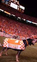 Smokey VIII