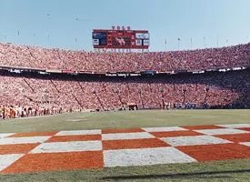 Neyland Endzone
