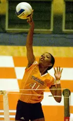 Athlete Competing In Volleyball