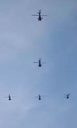 Helicopters Flying In Sky