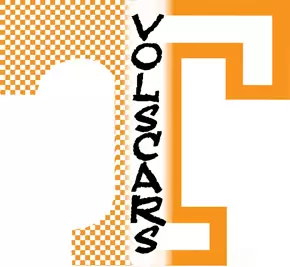 Volscars Graphic