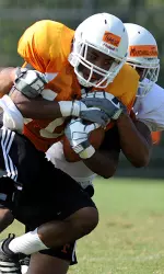 Nigel Mitchell-Thornton