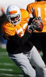 Toney Williams