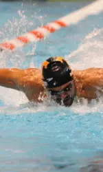 Michael DeRocco