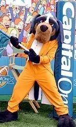 Vote for Smokey to win the CapitalOne Bowl Mascot Challenge at <a href="http://www.capitalonebowl.com">CapitalOneBowl.com</a>