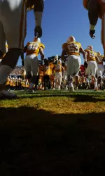 Four Vols have knee surgery; three others have shoulder procedures