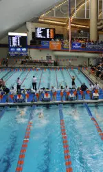 Lady Vol Swimming