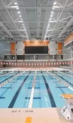 <blank>