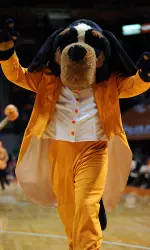 Fans can "test drive" available seats at Thompson-Boling Arena Tuesday.