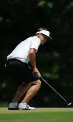 Lamb looks for the roll.