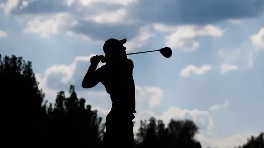 Scalise action silhouette