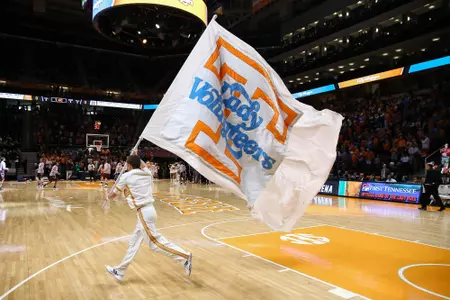 Lady Vol flag