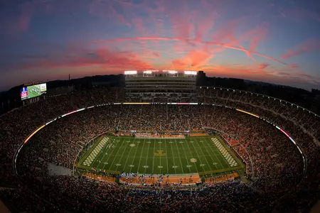 neyland-aerial-view