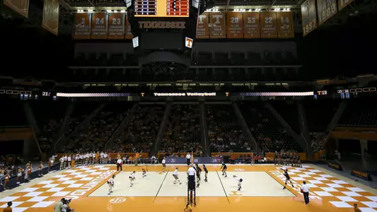 Volleyball_Action_TBA