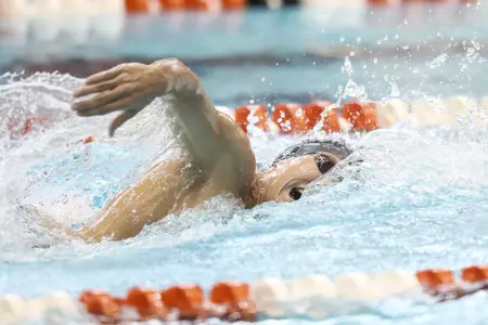 David Heron - Summer 2017