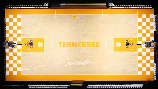 Arena Court Overhead