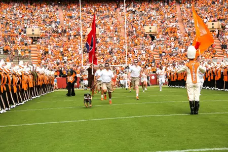 banner image