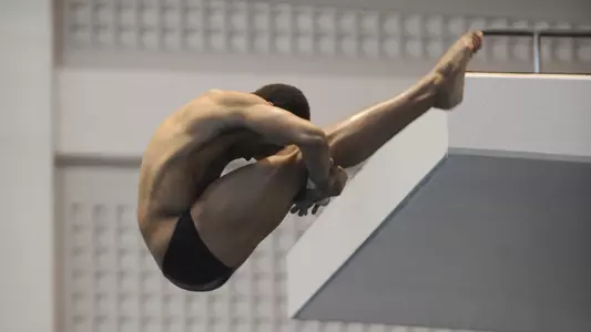 KNOXVILLE, TN - 2009.01.24 - Tennessee vs. Georgia