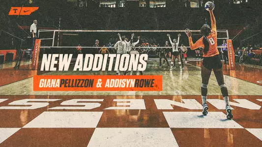 Pellizzon_Rowe_Graphic