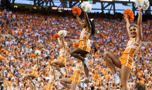 2018-2019 Cheer Team Announced