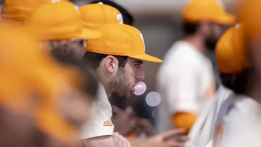 KNOXVILLE, TN - 2019.03.24 - Tennessee vs. South Carolina