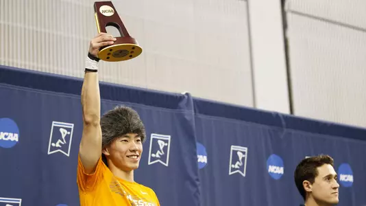 KNOXVILLE, TN - 2019.03.28 - NCAA D1 Men's Swimming and Diving Championships