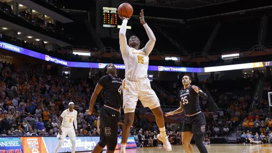 Cheridene Green action vs. South Carolina