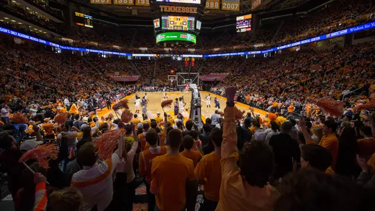 KNOXVILLE,TN - JANUARY 31, 2015 - Wide shot of the fans from the Rocky Top Rowdies during the game between the Auburn Tigers and the Tennessee Volunteers at Thompson Boling Arena in Knoxville, TN. Photo By Donald Page/Tennessee Athletics