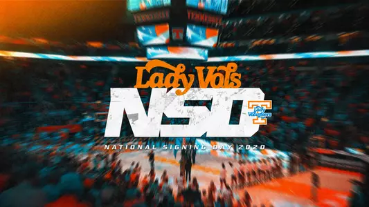 NSD 2020 Graphic