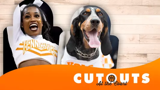 Cutouts at the Court