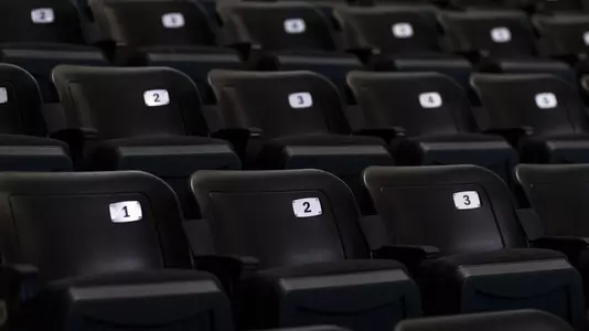 Thompson-Boling Arena Seats