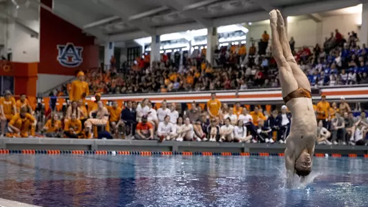 Matt Wade Zones preview