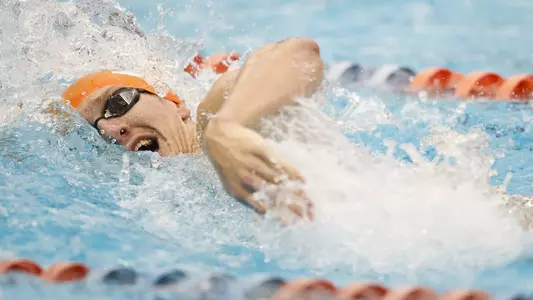 GAINESVILLE, FL - 2019.02.02 - Tennessee vs. Florida