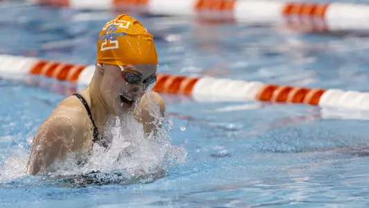 KNOXVILLE, TN - 2020.02.01 - Tennessee vs Purdue