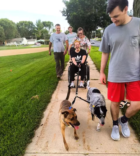 Person In Wheelchair Being Pulled By Two Dogs Surrounded By People