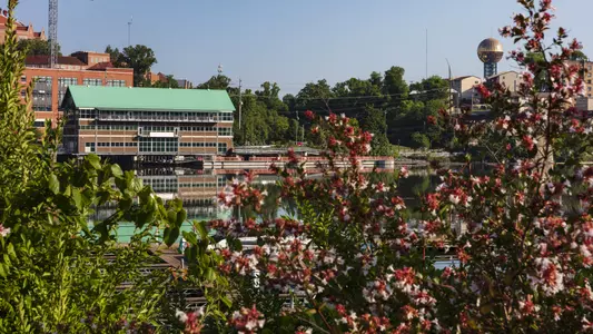 KNOXVILLE, TN - 2019.07.02 - Campus Photos