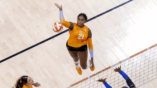 UT vs Florida Recap Pic