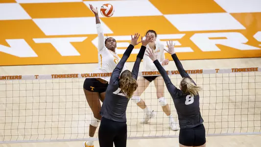 Tennessee v Florida Preview