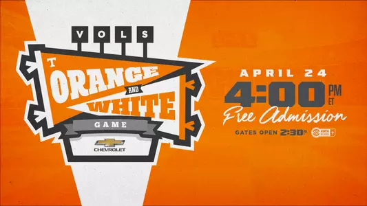 2021 Updated OW Game