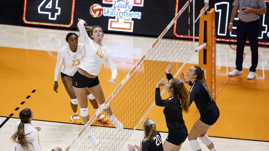 Bell CoSIDA All-District