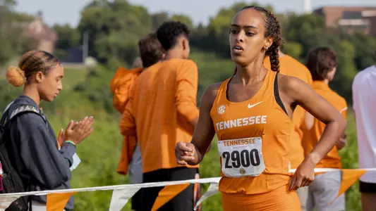 UNA Showcase Preview