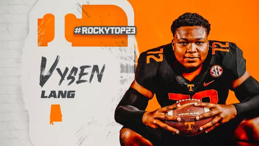 Vysen Lang Hero Image