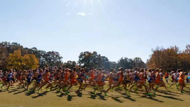 Cross Country Statistics