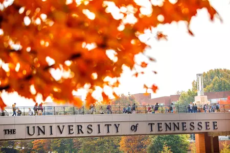 Pedestrian Bridge during the fall