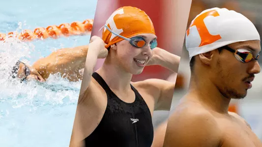 Caribe, Crooks, Stege Graphic